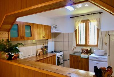 Pensiune 7 camere, Lepsa - 41
