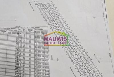 Teren intravilan în Berceni - 8