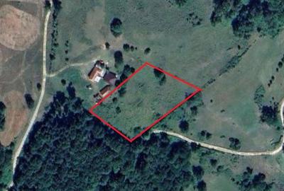Teren de 6400 mp, în Șuncuiuș - 1