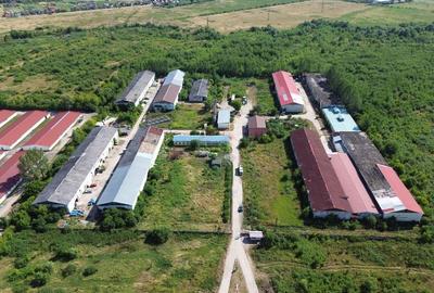 Spa?iu industrial de 120mp de inchiriat in zona Exteri... - 7