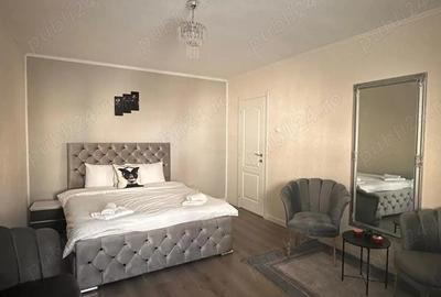 Apartament cu 2 camere de inchiriat in Curtea de Arge?. - 3