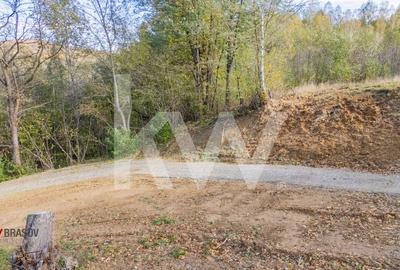 Vanzare teren intravilan 37723 mp Zarnesti Tohanita - 15