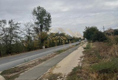 Teren Intravilan 500 mp, comuna Vidra Teren Intravilan 500 mp, comuna Vidra - 3