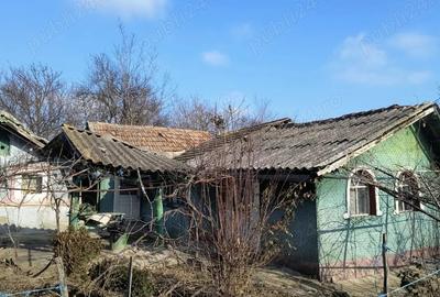 Vand casa 40 km de Bucuresti - 4