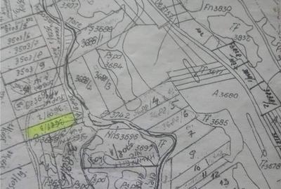 Teren de 18800 mp, în Arpașu de Sus - 5