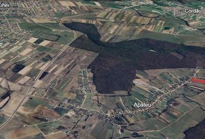 Spațiu comercial, în Apateu - 6