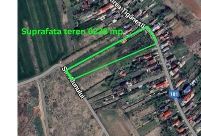 Teren Construcții intravilan de 3114 mp, în Ciolpani - 1