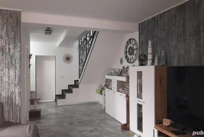 Vand Duplex Mosnita Veche - 4