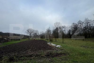 Casa cu 2 camere in Densus, 20 km de Manastirea Prinslop - 9