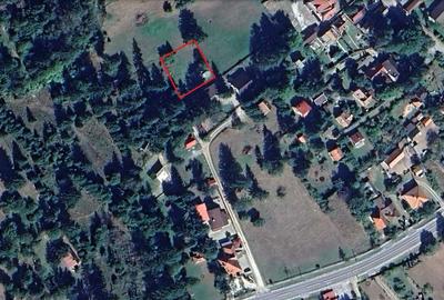 Spațiu comercial, în Izvoru Mureșului - 1