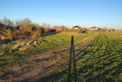 Spațiu comercial, în Tânganu - 1