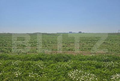 Teren de 2107 mp, în Central