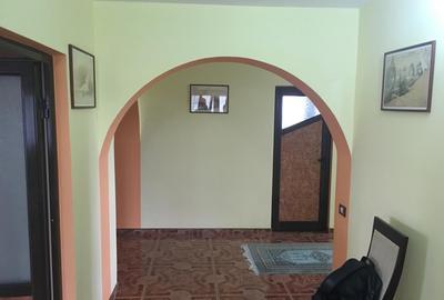 NOU* Vila 350mp cu teren 2000mp in Bucium ! - 14