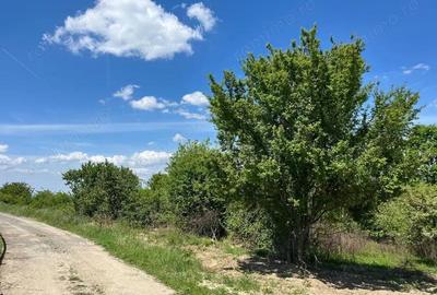 Teren de 5300 mp, în Lugoj - 1