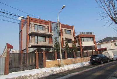 Cartier Herăstrău, Vilă, 10 camere, confort lux, Curte, Sală de Sport - 4