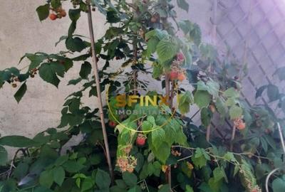 Casă individuală cu 5 camere cu Canalizare în Giulești - 41