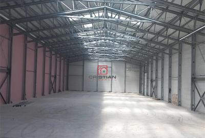 Depozit/hala/spatiu industrial Buftea - Tamasi, Ilfov - 13