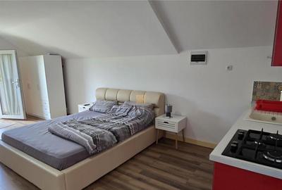 Casa de Vacanta la Munte - Dorna Arini! Vatra Dornei!! De ! - 6