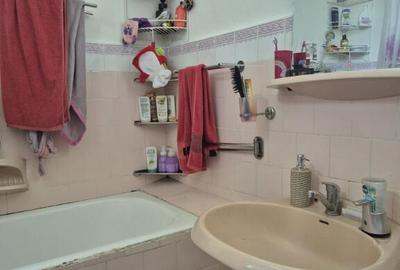 Baia Sprie, casa cu etaj ,10 ari teren - 3