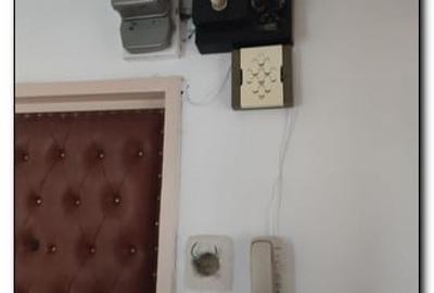 Apartament cu 3 camere, Euromaterna - 9