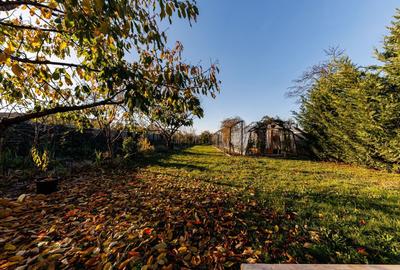 Casa cu Personalitate – Un Amestec Fascinant de Stil Istoric și Contemporan - 26