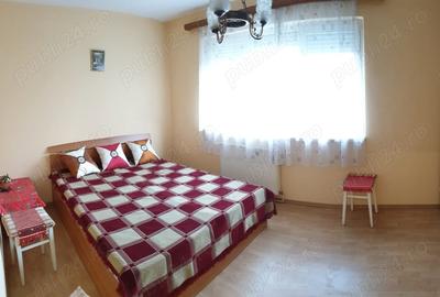 Apartament cu 2 camere nedecomandat în Cedonia - 5