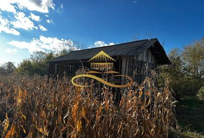 Casa batraneasca din caramida de vanzare si 4500 mp teren Negri Bacau - 19