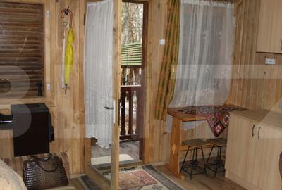 Casu?a de vacan?a langa Lacul Reci lini?te, nat - 7