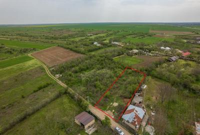 LETCA NOUA, TEREN CONSTRUCTII 1184 MP, FRONT 21 M ! - 2