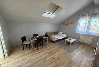 Apartament cu 2 camere semidecomandat în Bujac - 5