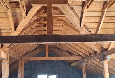Casă cu 9 camere cu Teren 375 Mp în Titan - 9