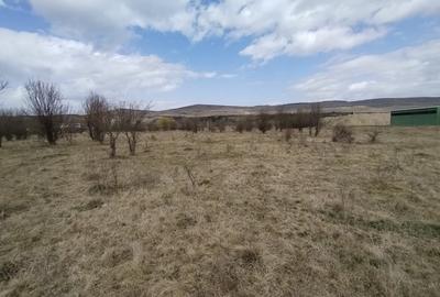 Teren de vanzare, 1.3HA., utilitati, acces din DN - 2