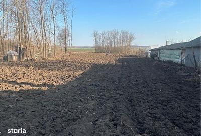 Teren de 3804 mp, în Chiselet - 3