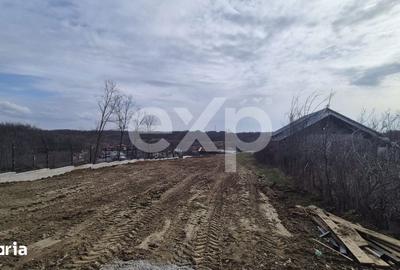 Teren de 1500 mp, în Albota - 3