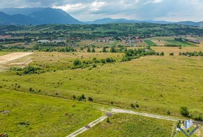 Teren Construcții intravilan de 1450 mp, în Tohanu Nou