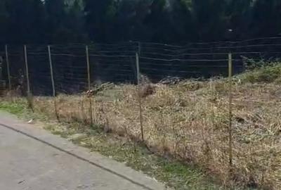 Teren de 500 mp, în Săftica - 4