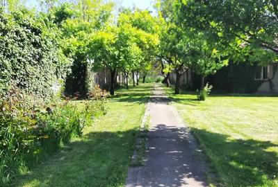 Casă cu 6 camere cu Teren 3000 Mp în Grădiștea - 6