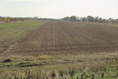 Teren de 12400 mp, în Slătioara - 1