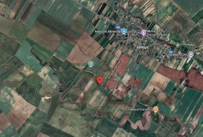 Teren extravilan Barlogu; ID: R2825534 - 8