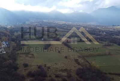 Teren Zarnesti | Tohanita | Intravilan | PUZ aprobat | Fara Utilitati | 9.053mp - 7