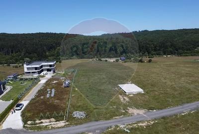 Teren agricol extravilan de 3757 mp, în Păltinoasa - 3