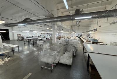 Complex industrial 30130  mp construit - Teren 42558 mp - 7