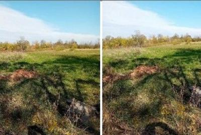 Teren de 1918 mp, în Ungheni - 4