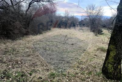 Casă cu 3 camere cu Teren 2821 Mp în Câmpulung la Tisa - 4