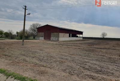 Teren Construcții intravilan de 58340 mp, în Sânmartinu Sârbesc - 27