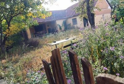 🏡  Casă de Poveste în Șiria, Arad- Locație Rară - 17