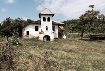 Teren de vanzre in Pitesti 53.000 mp + Conac Boieresc - 2