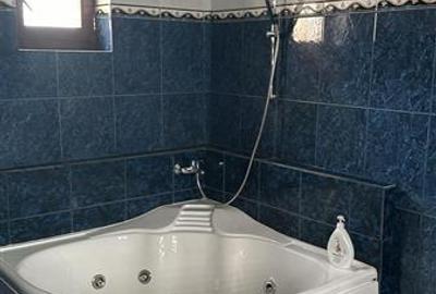 Casă cu 13 camere cu Teren 1686 Mp în Ultracentral - 8