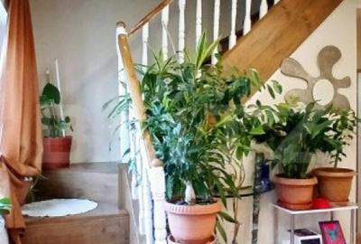 Doua case de vanzare, 263 mp, teren 800 mp, zona Iosia, in e - 3