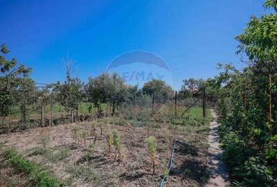 Casa si teren de 1397 mp de vanzare in Ineu, la 18 km de Oradea - 34